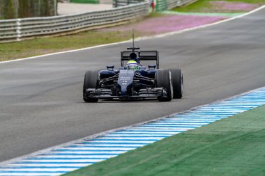 Williams f1, felipe massa, 2014 takım