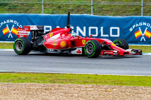 Команда Scuderia Ferrari F1, Фернандо Алонсо, 2014 — стоковое фото
