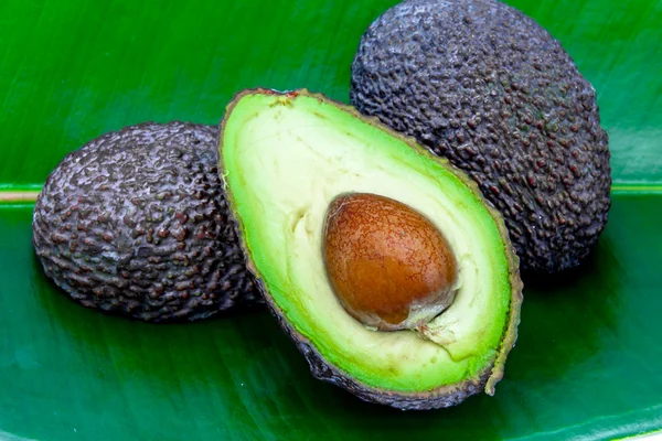 Verschillende avocado 's — Stockfoto