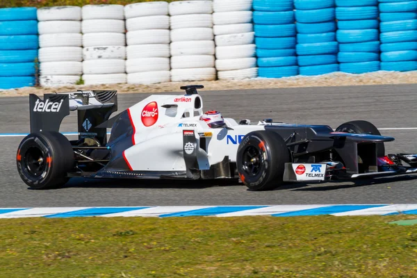 Команда Sauber F1, Камуи Феттель, 2012 — стоковое фото