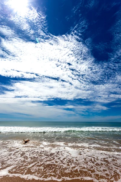 Stranden av torregorda — Stockfoto