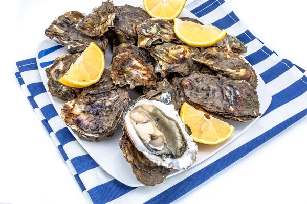 Oysters — Stock Photo, Image