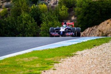takım toro rosso f1, jean-eric vergne, 2014