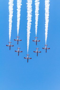 Patrulla Aguila