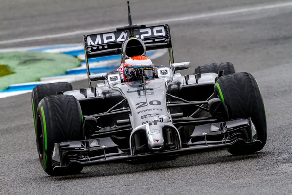 Equipe McLaren F1, Kevin Magnussen, 2014 — Fotografia de Stock