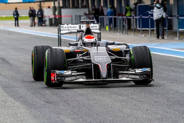 Takımı sauber f1, adrian sutil, 2014 — Stok fotoğraf