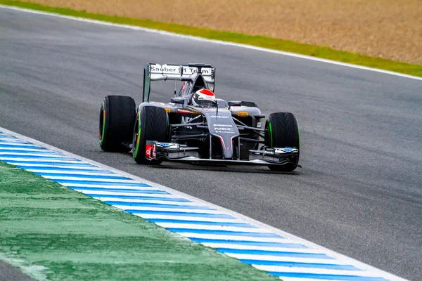 Команда Sauber F1, Адриан Сутил, 2014 — стоковое фото