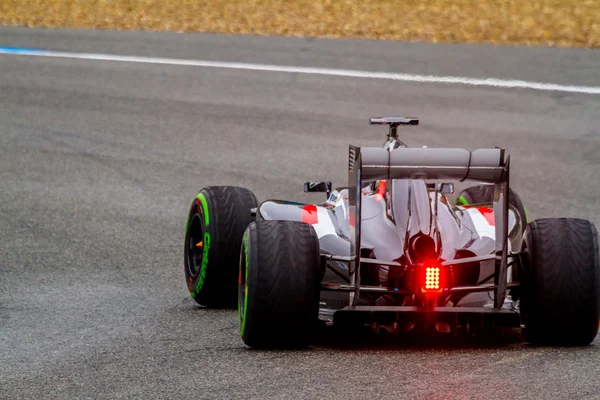 Equipe Sauber F1, Adrian Sutil, 2014 — Fotografia de Stock