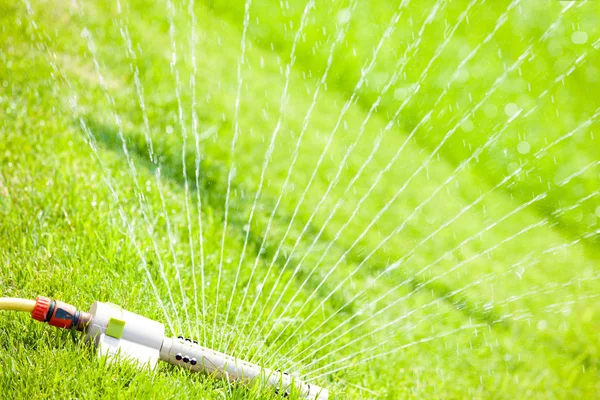 Sprinkler head watering green grass — Stock Photo, Image