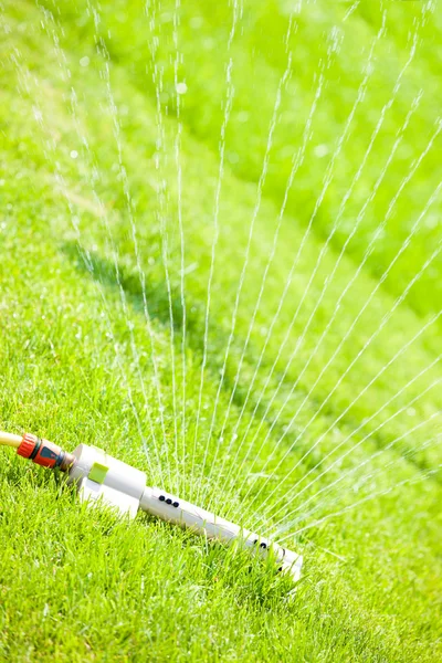 Sprinkler head watering green lawn — Stock Photo, Image