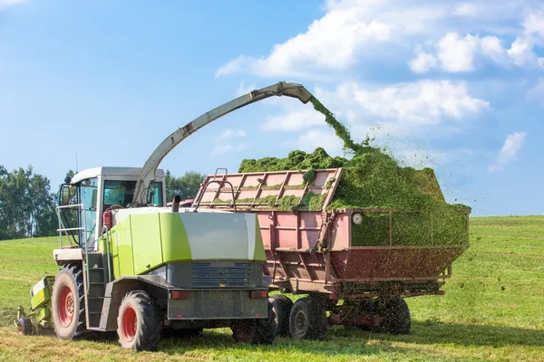 Silage Season — Stock Photo, Image