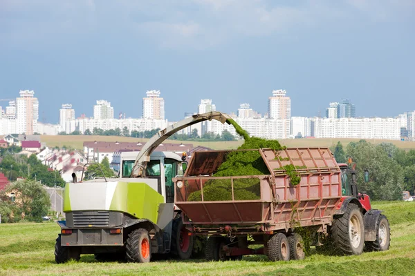 Ensilage säsong - skördare skär ett fält och lastning trailer — Stockfoto