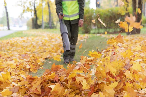 Autumn Leaves Scattering Landscaper Man Worker Clearing Lawn Gras Cordless Stock Photo