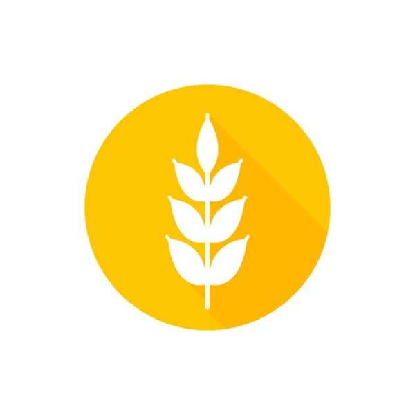 円の背景に分離された小麦スパイクベクトルアイコン 穀物の耳のアイコンサインフラットデザインイラスト — ストックベクタ
