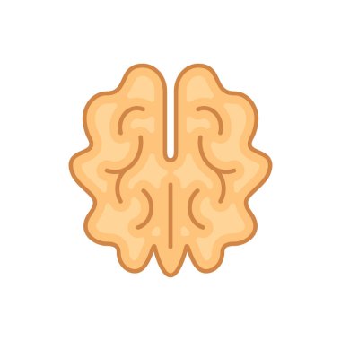 Ceviz rengi ikonu. Vektör izole edilmiş renkli fındık illütü.