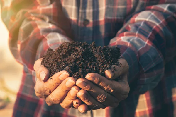 Hand Male Holding Soil Hands Planting Copy Space Insert Text — Stock Photo, Image