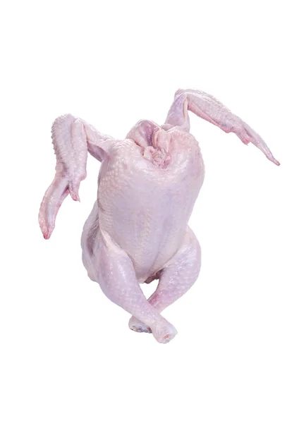 Tánc a nyers csirke Stock Kép