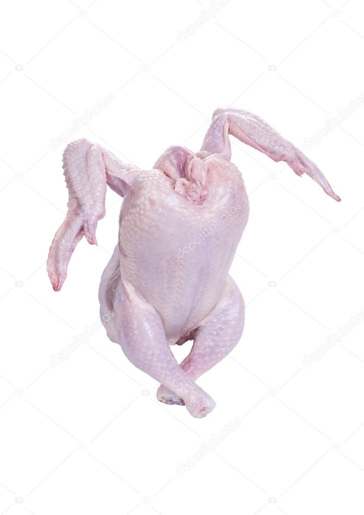 Dancing Raw Chicken Stock Photo by ©phspy 12133806