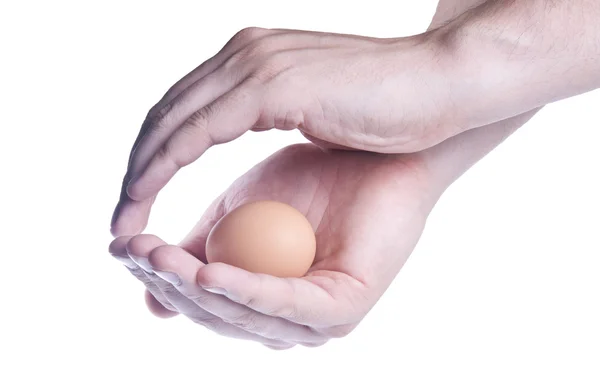 Egg in hands. Concept of protection — Stock Photo, Image