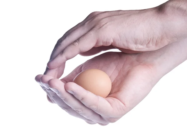Egg in hands. Concept of protection — Stock Photo, Image