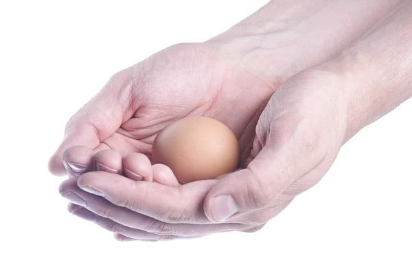 Ovo nas mãos. Conceito de cuidado — Fotografia de Stock