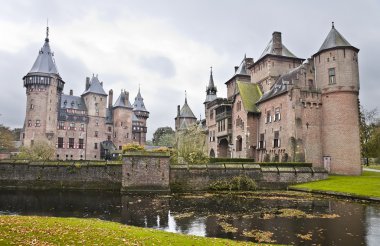 Kale de haar Hollanda