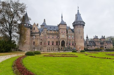 Kale de haar Hollanda