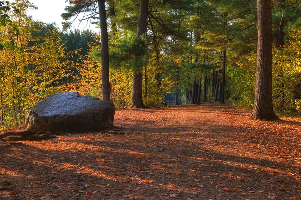 Barevné Malebná krajina v hdr — Stock fotografie