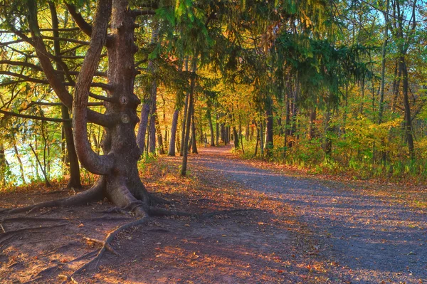 Barevné Malebná krajina v hdr — Stock fotografie