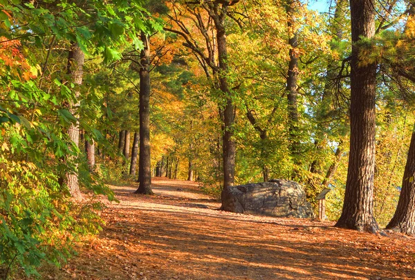 Barevné Malebná krajina v hdr — Stock fotografie