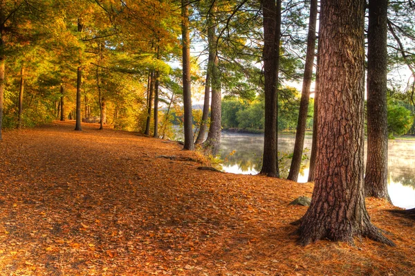 Creek i most w hdr — Zdjęcie stockowe