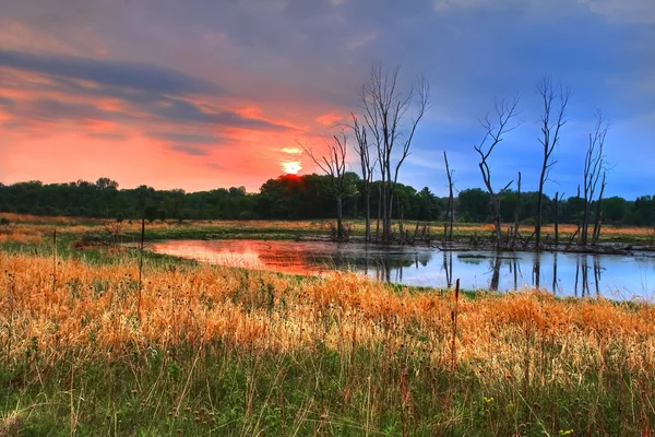 Woodlands e nascer do sol em alta gama dinâmica — Fotografia de Stock