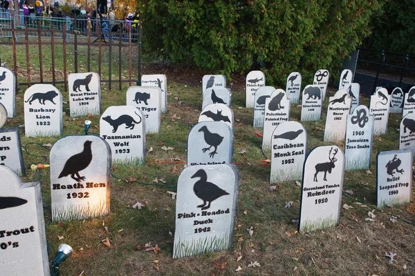Animal Extinction grave site — Stock Photo, Image
