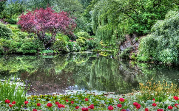 Paesaggio HDR di una foresta e uno stagno — Foto Stock