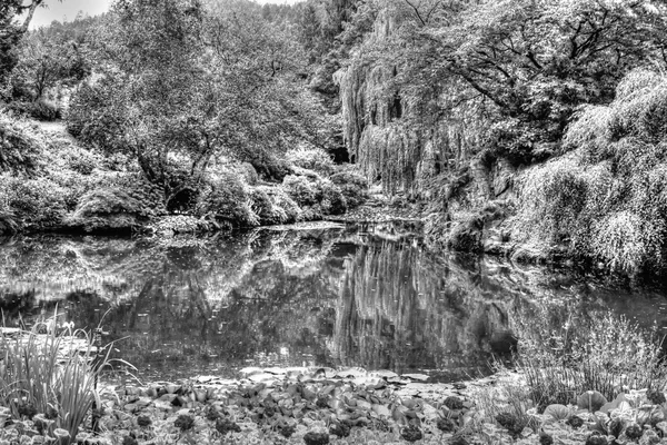 HDR landscape of a forest and pond in Black and White — Stock Photo, Image