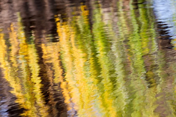 Autumn Reflections of a willow tree — Stock Photo, Image
