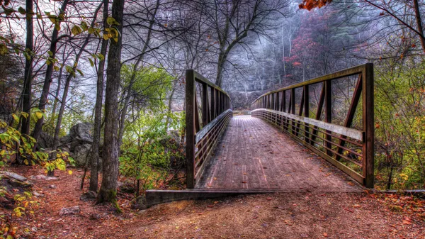 Creek e Bridge in HDR in soft focus — Foto Stock