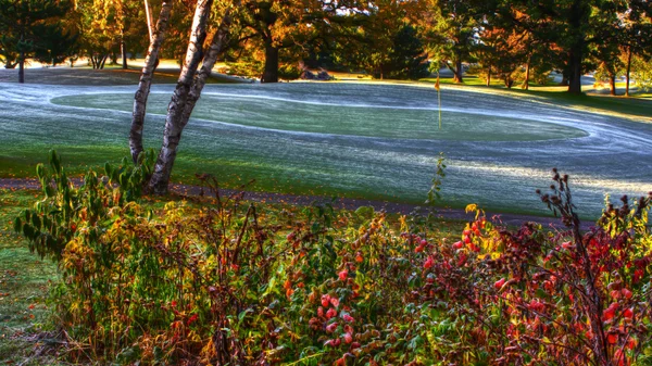 Őszi színek a golfpályán a hdr Stock Fotó