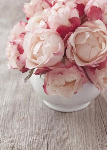 Pink roses — Stock Photo, Image