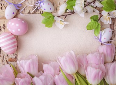 Pembe Laleler ve boş Not