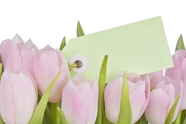 Pink tulips and blank note — Stock Photo, Image