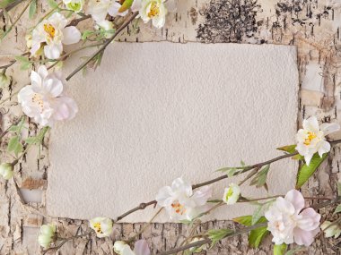 kiraz çiçekleri ve boş Not