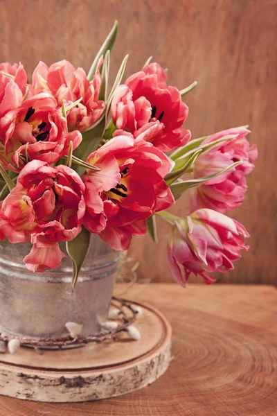 Flores de tulipa — Fotografia de Stock