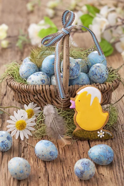 Easter cookie and blue eggs — Stock Photo, Image