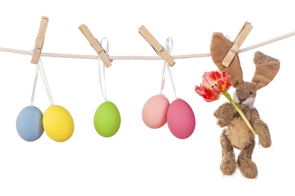 Uova di Pasqua e coniglio — Foto Stock