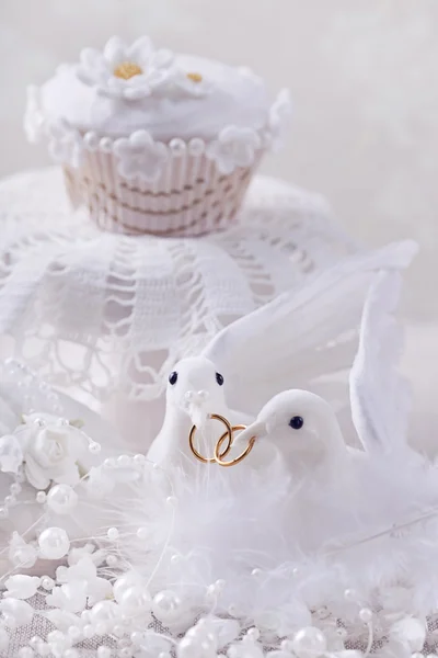 Białe gołębie z pierścieniami — Zdjęcie stockowe