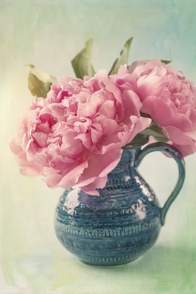 Peonies — Stock Photo, Image