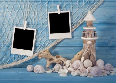 Deniz yaşamı dekorasyon ve anlık fotoğraf
