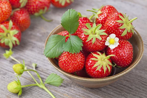 Rote Erdbeeren — Stockfoto