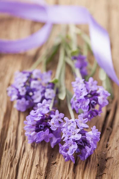 Lavendel — Stockfoto